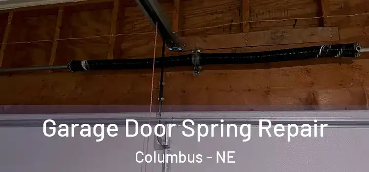  Garage Door Spring Repair Columbus - NE